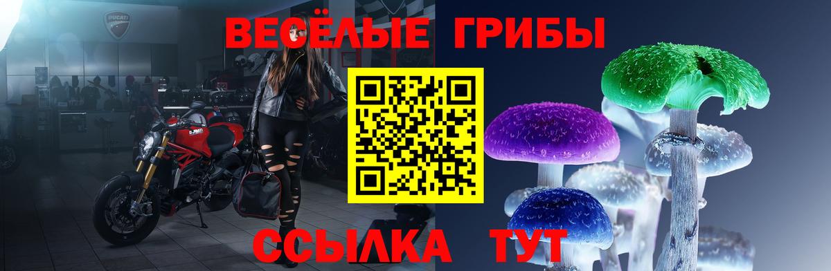 Галлюциногенные грибы Cubensis  Вход с VPN  Первоуральск 